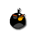L'oiseau bombe noir (black bird)