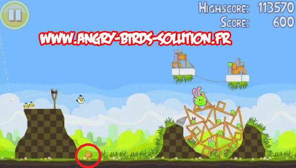 Easter golden egg 16 d'Angry Birds Seasons Paques