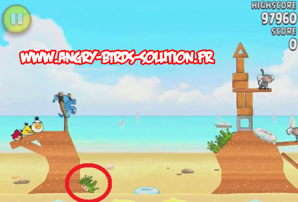 Pastèque d'or cachée 7 d'Angry Birds Rio : Beach Volley