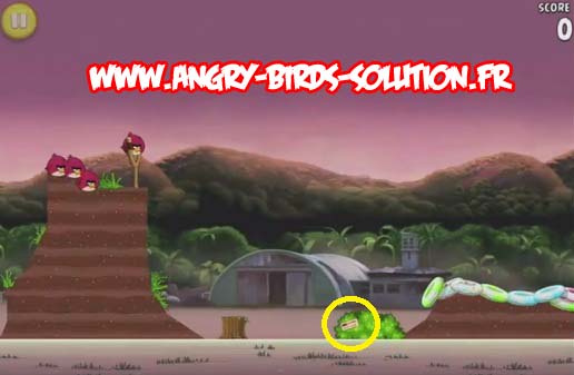 Pomme d'or 11 d'Angry Birds Rio (level 10-8)