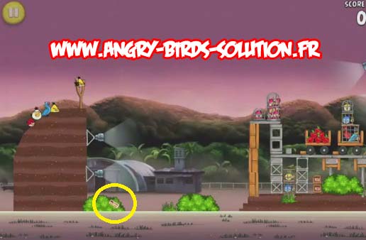 Pomme en or 14 d'Angry Birds Rio (niveau 10-15)