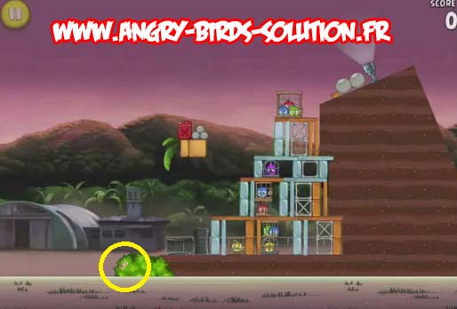 Pomme d'or 2 d'Angry Birds RIO (level 9-2)