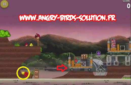 Pomme en or 3 d'Angry Birds Rio (level 9-5)