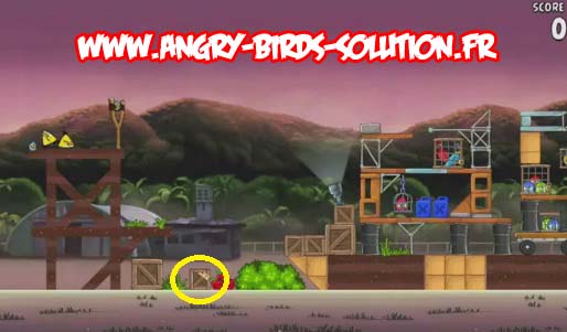 Pomme en or 4 d'Angry Birds Rio (level 9-6)